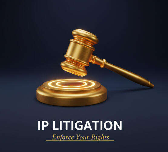 Legal (Litigation & Enforcement) Aggressive enforcement of your intellectual property rights. We specialize in high-stakes infringement suits, securing injunctions, and dismantling opposing claims in the courtroom.